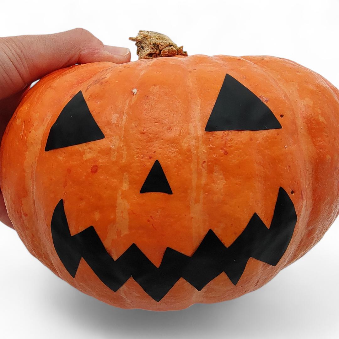 Halloween Kürbis Gesicht Aufkleber,Vinylsticker, Kürbisschmuck Sticker, Gesichtsaufkleber, Vinyl, Gruselgesicht -6 Motive zur Auswahl #SVEY Halloween Kürbis Gesicht Aufkleber,Vinylsticker, Kürbisschmuck Sticker, Gesichtsaufkleber, Vinyl, Gruselgesicht -6 Motive zur Auswahl #SVEY