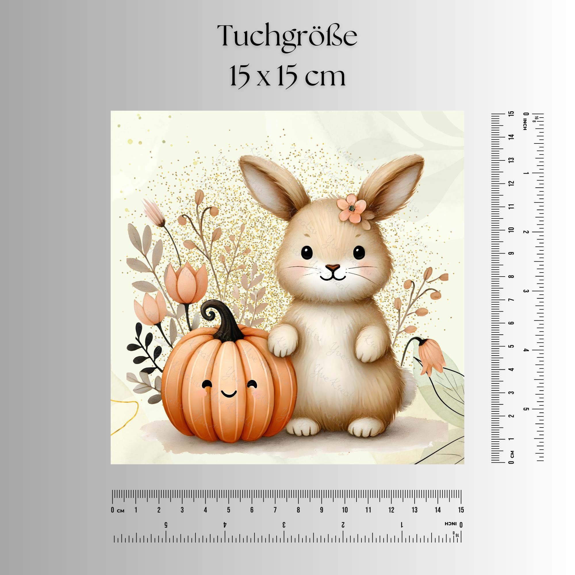 Brillenputztuch Herbst Hase bedrucktes Mikrofasertuch für Sonnenbrille Displays Handy Häschen Geschenk Halloween Mitbringsel #TI168