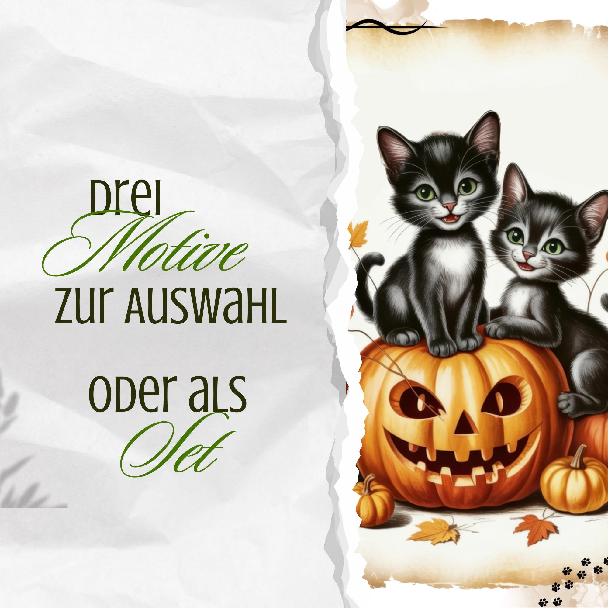 Postkarte Halloween Katzen Glückwunschkarte Herbst Grußkarte Geschenkkarte DIN A6 Geschenk Freundin Mitbringsel Katzenbesitzer #PLS