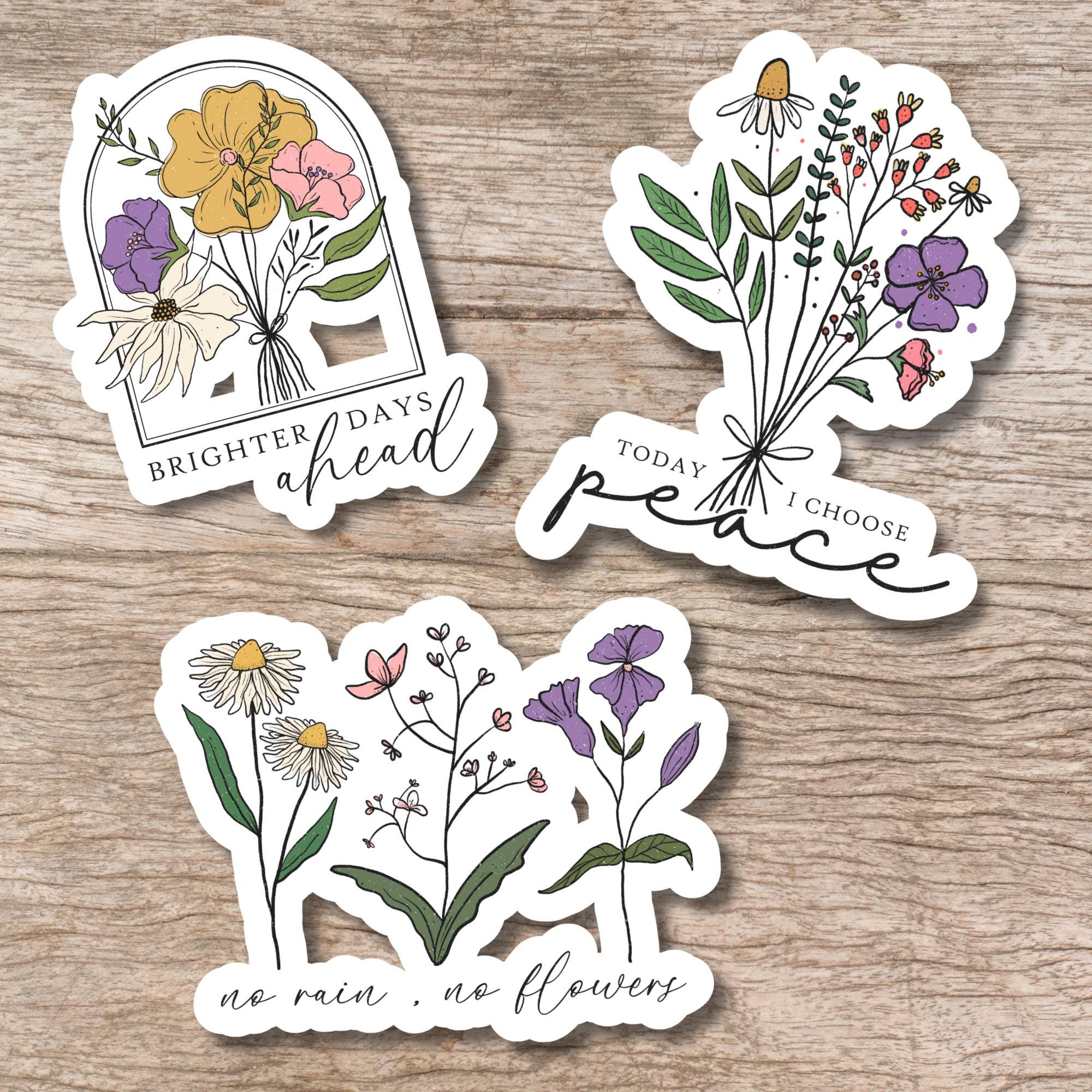 Aufkleber SET 3 Kofferaufkleber Motivation Sticker Geschenkaufkleber Blumenwiese Laptop Sticker zur Auswahl in Weiß oder Transparent  #SEG8