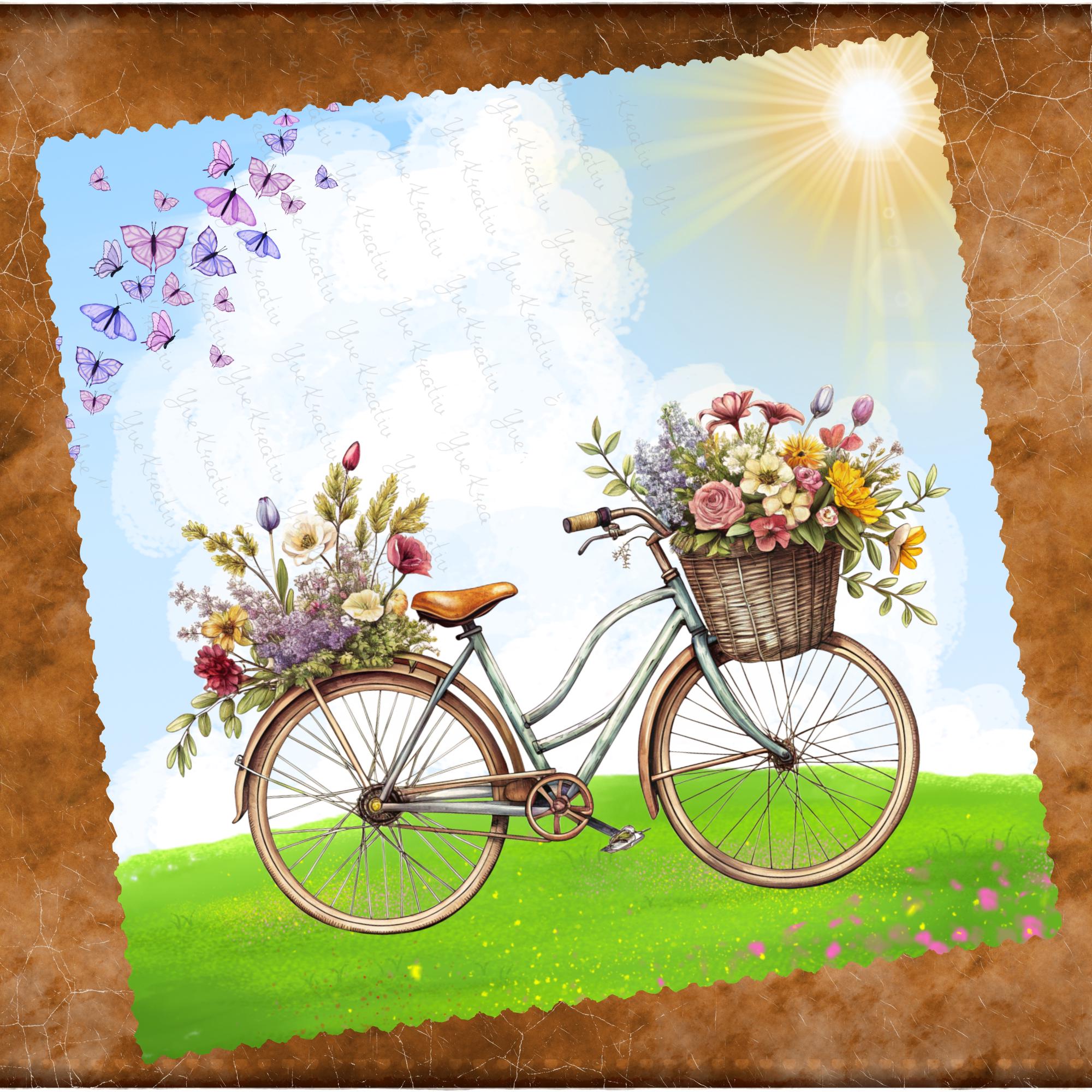 Brillenputztuch Fahrrad bedrucktes Mikrofasertuch für Brille Sonnenbrille Displays Geschenk Radfahrerin Gutschein Blumen Rad #AL56