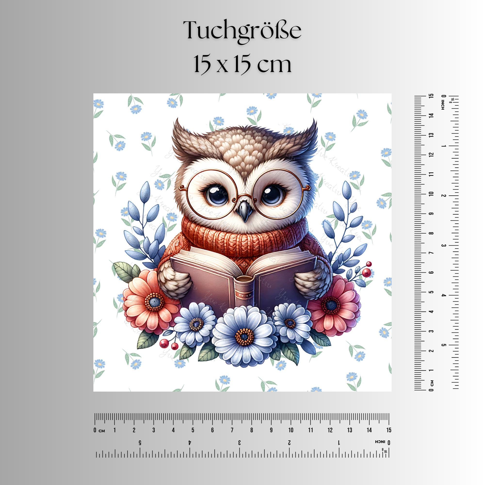 Brillenputztuch bedrucktes Mikrofasertuch für Brillen Kameratuch Brillentuch für Displays Objektive Geschenk Geburtstag Lese Eule #TI123