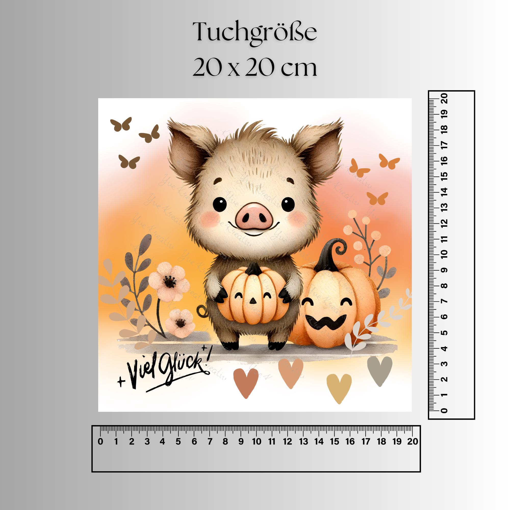 Brillenputztuch Herbst Glücksschweinchen bedrucktes Mikrofasertuch für Sonnenbrille Displays Handy Geschenk Halloween Mitbringsel #TI170