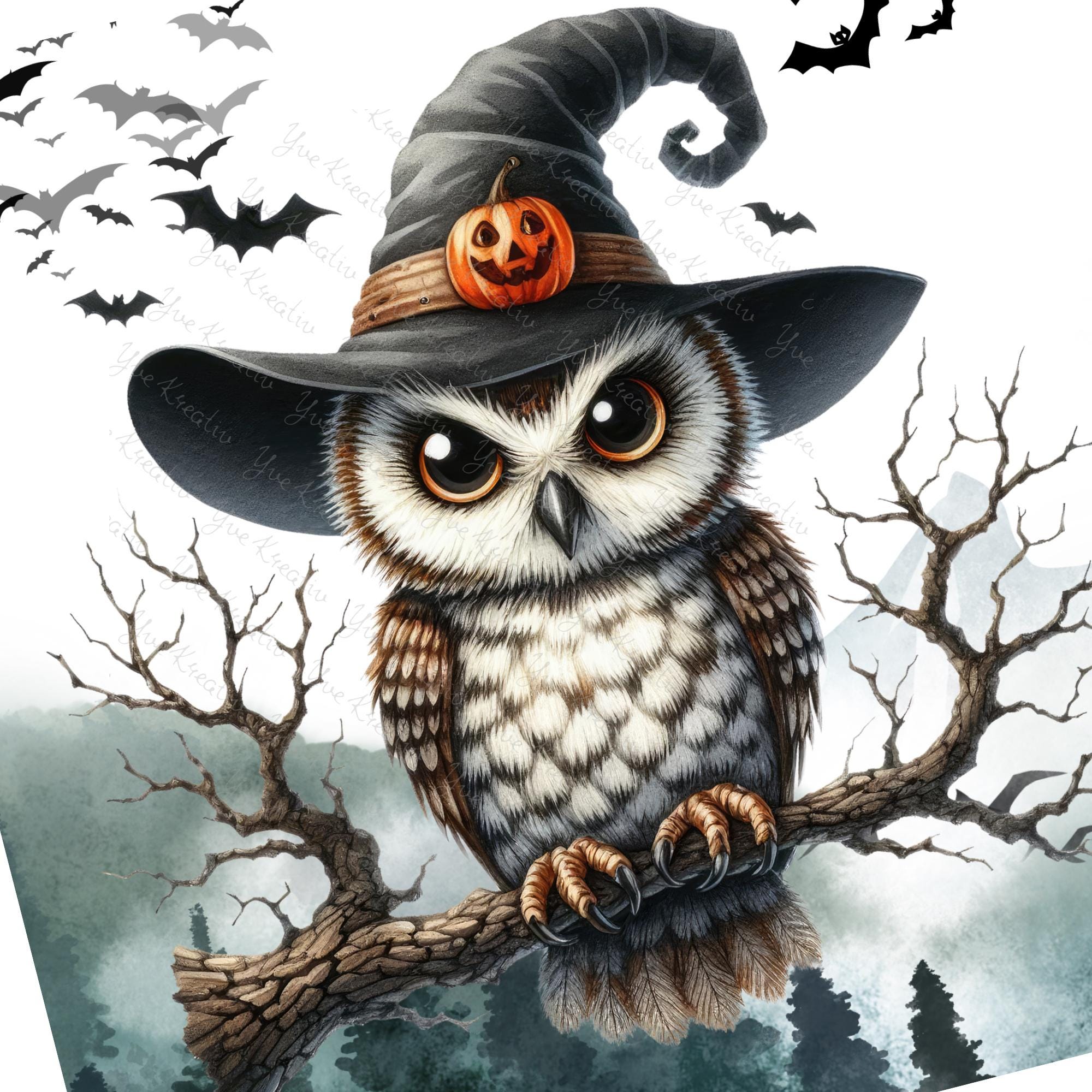 Brillenputztuch Zauberer Eule bedrucktes Mikrofasertuch für Sonnenbrille Displays Handy Eulen Geschenk Halloween Mitbringsel #TI171