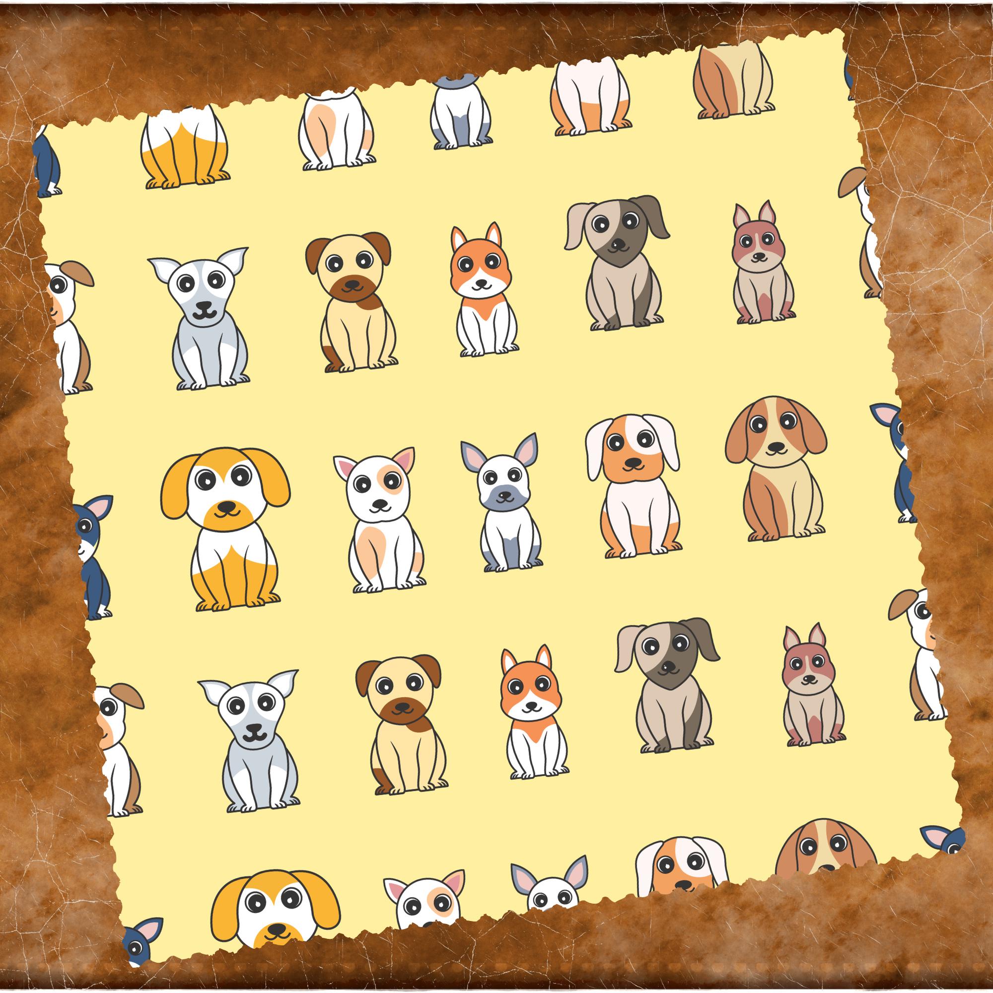 Brillenputztuch Hunde Geschenk Freundin Mitbringsel Hundemama bedrucktes Mikrofasertuch Brillentuch für Displays Objektive #TI136