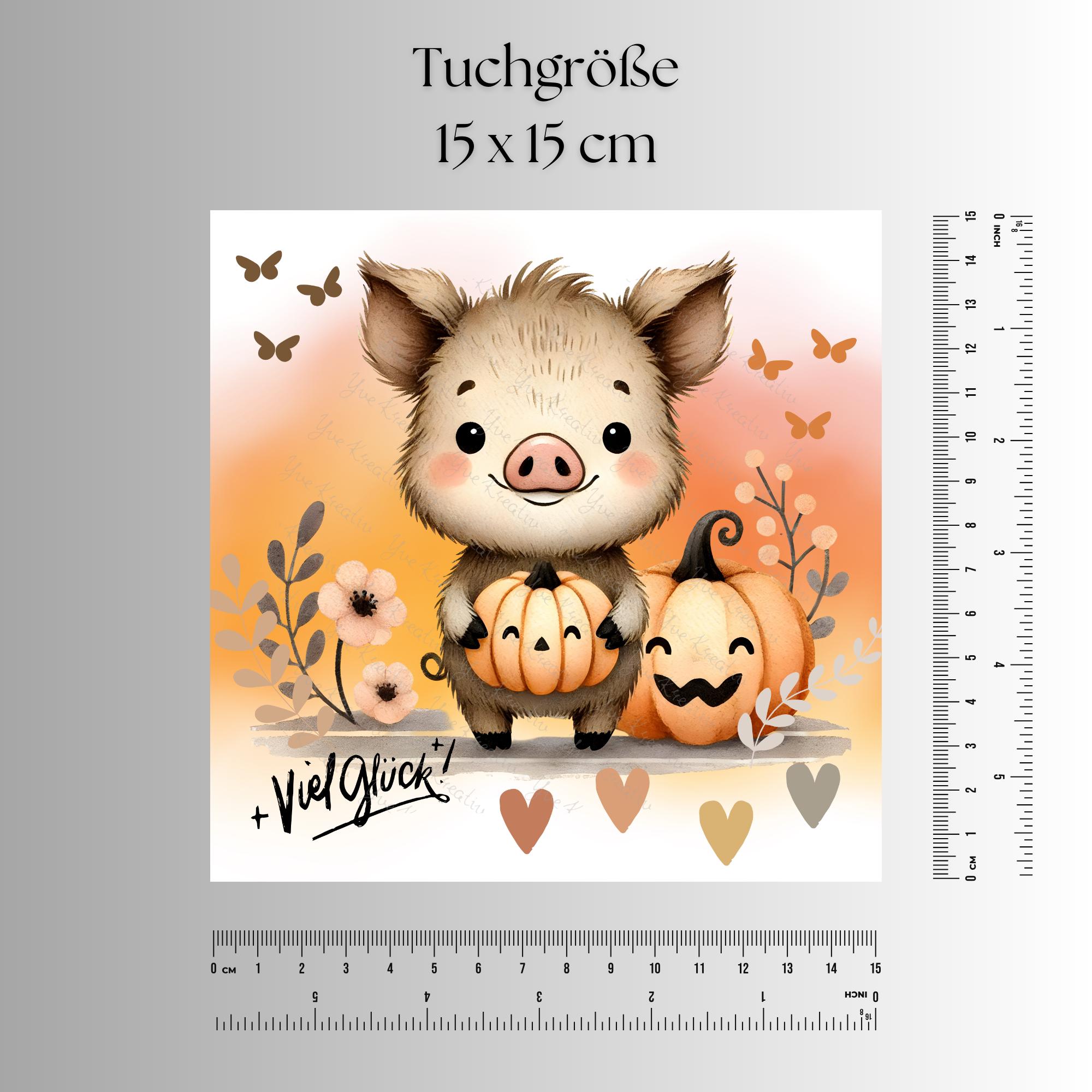 Brillenputztuch Herbst Glücksschweinchen bedrucktes Mikrofasertuch für Sonnenbrille Displays Handy Geschenk Halloween Mitbringsel #TI170