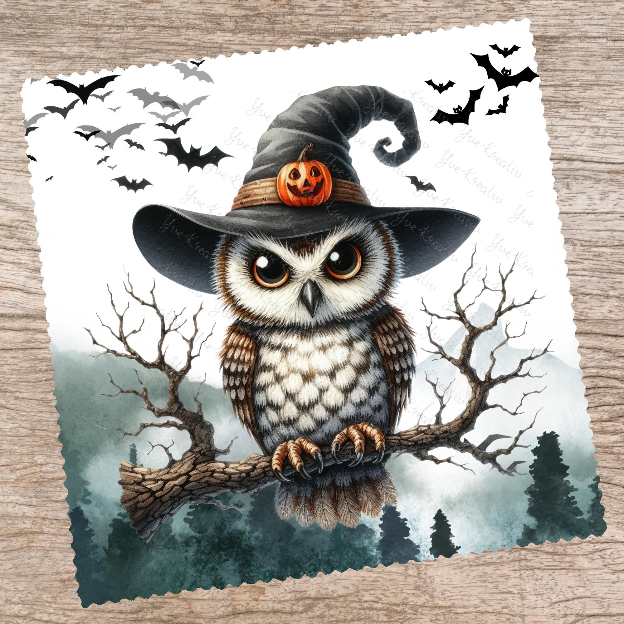 Brillenputztuch Zauberer Eule bedrucktes Mikrofasertuch für Sonnenbrille Displays Handy Eulen Geschenk Halloween Mitbringsel #TI171