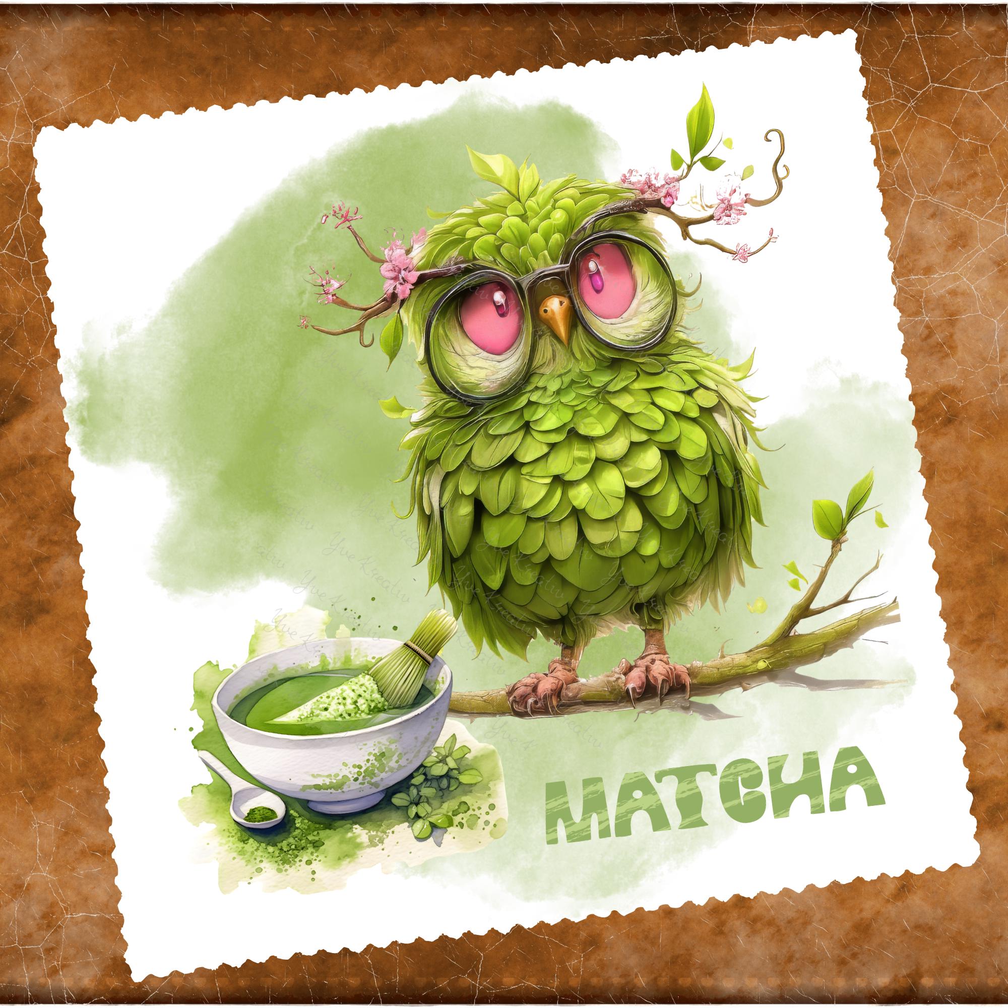 Brillenputztuch Matcha Tee Eule Geschenk Geburtstag Mitbringsel Teetrinker bedrucktes Mikrofasertuch für Brille Sonnenbrille Displays #ES14