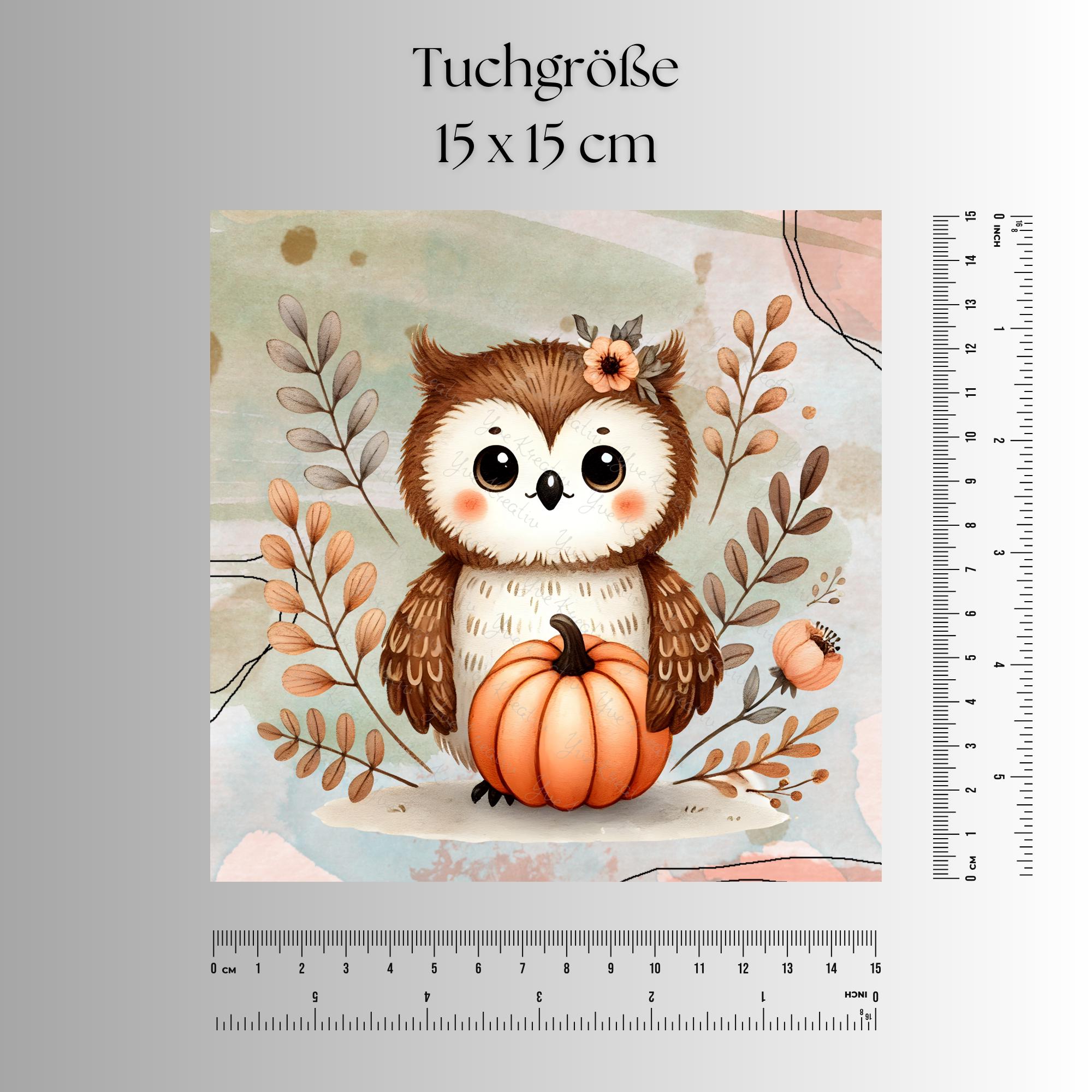 Brillenputztuch Herbst Eule bedrucktes Mikrofasertuch für Sonnenbrille Displays Handy Uhu Geschenk Halloween Mitbringsel #TI167