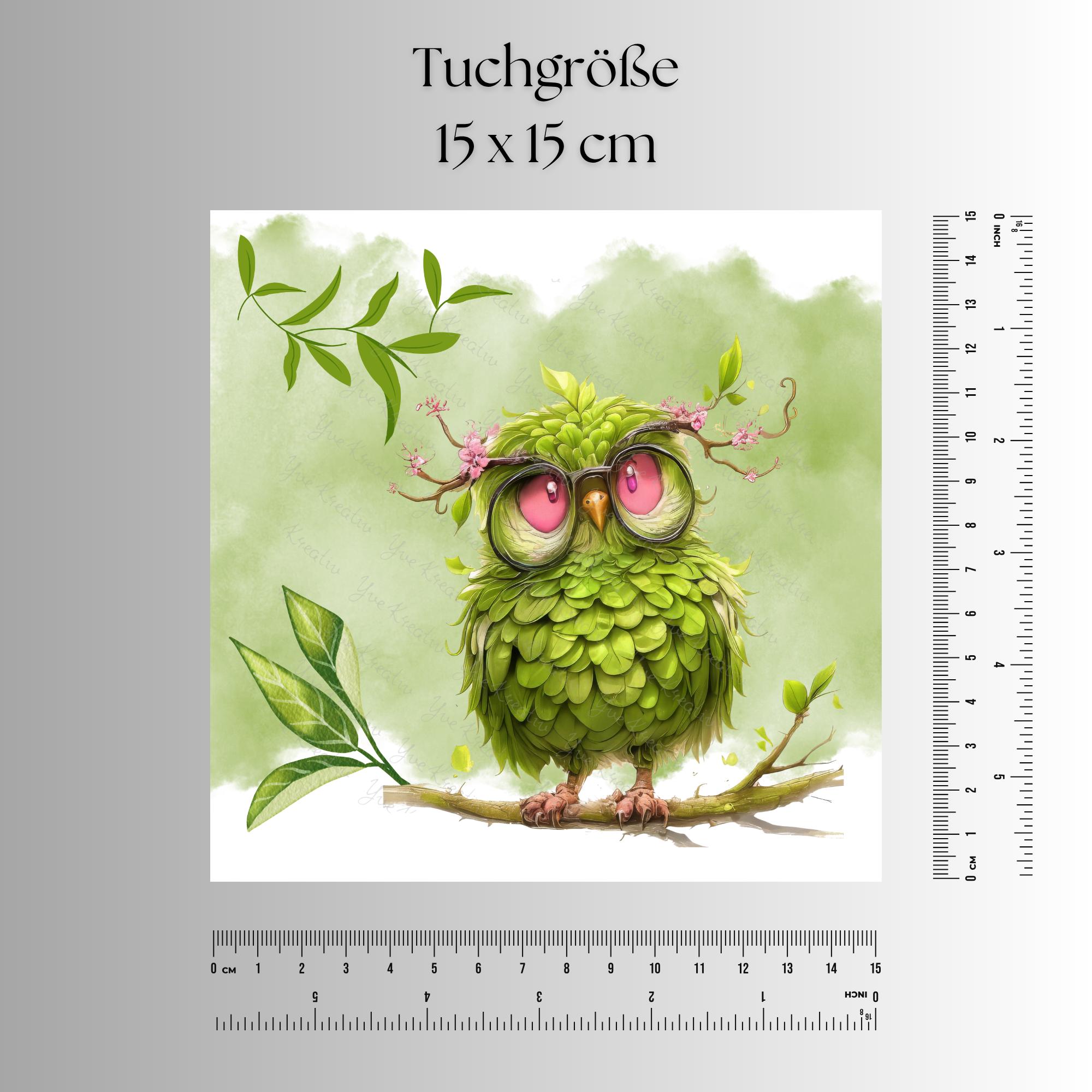Brillenputztuch grüne Eule Geschenk Geburtstag Mitbringsel Freundin bedrucktes Mikrofasertuch für Brille Sonnenbrille Displays #TI155
