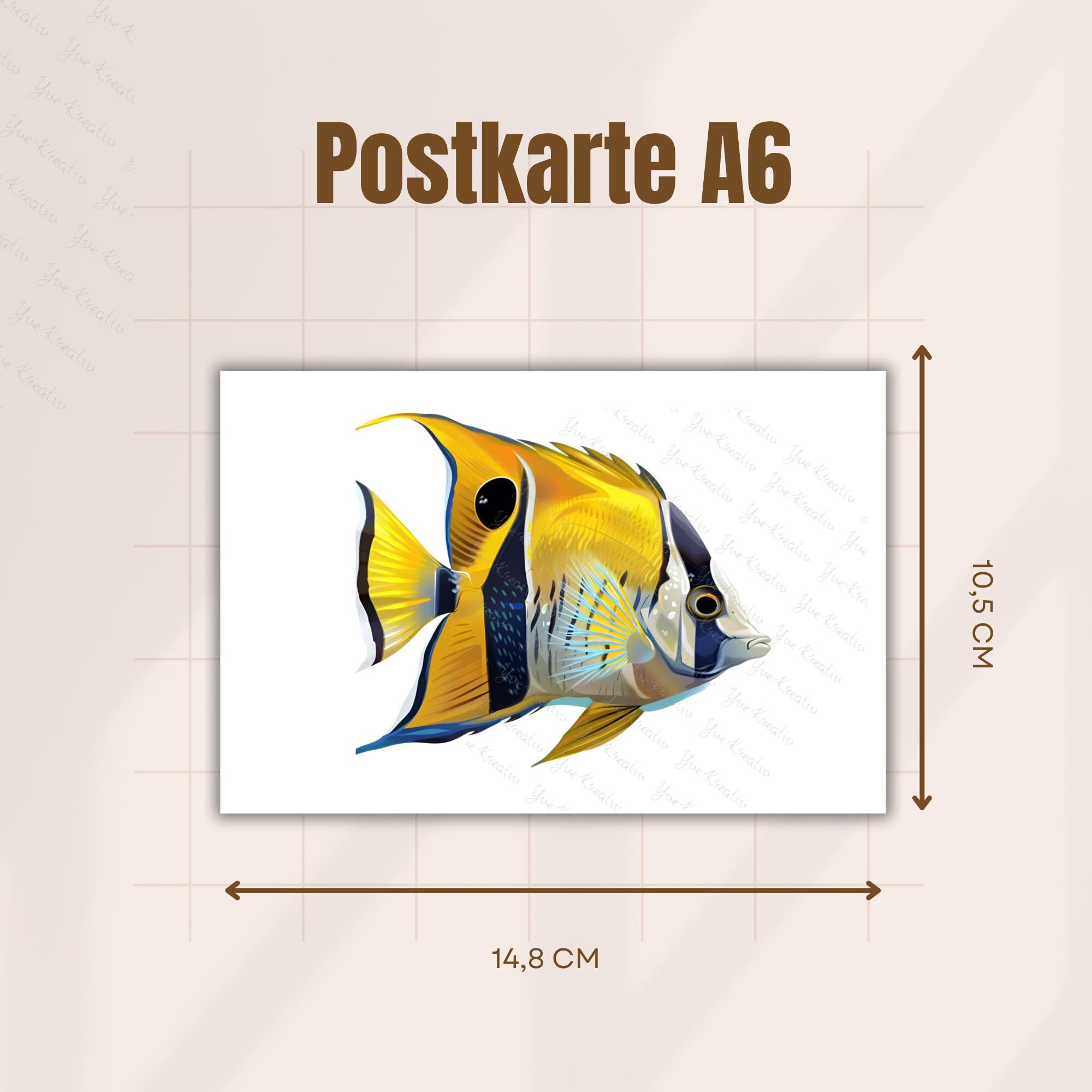 Postkarte Fisch Grußkarte Karte Südseefisch Geburtstag Motivation Aufmunterung Mitbringsel Freund Geschenk Reise #PLS PHO